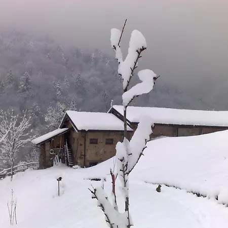 Le Fratte Appartamento Pertica Alta