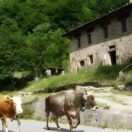 Appartamento Le Fratte Pertica Alta